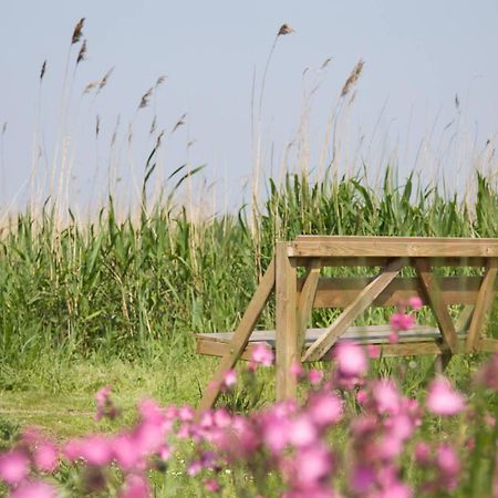 De Tijnjehoeve Boornzwaag over de Wielen Bagian luar foto