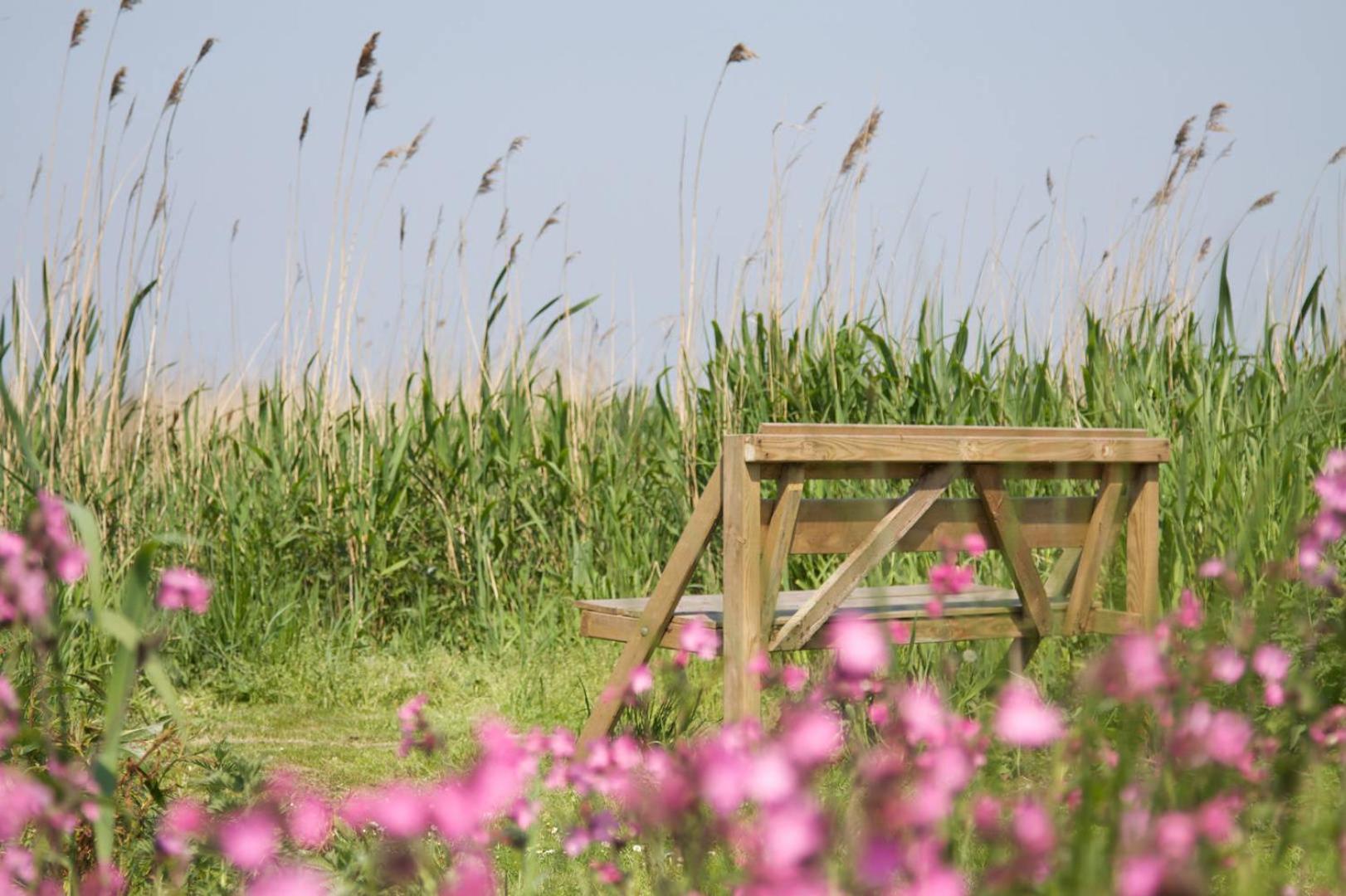 De Tijnjehoeve Boornzwaag over de Wielen Bagian luar foto